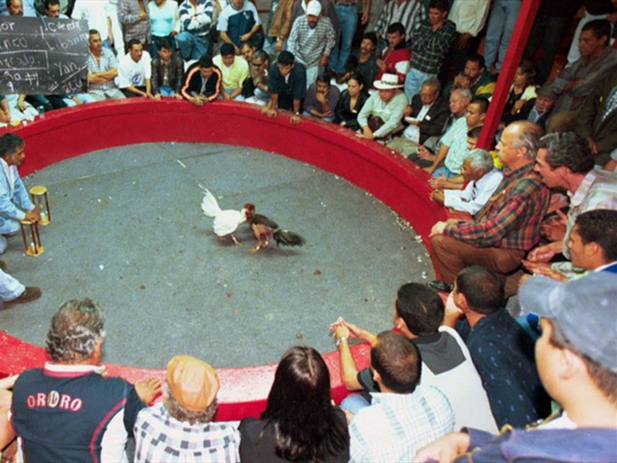 Capturan a 40 apostadores de gallos violando la cuarentena