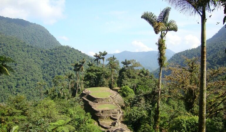 Foto: Flickr/ Liam King