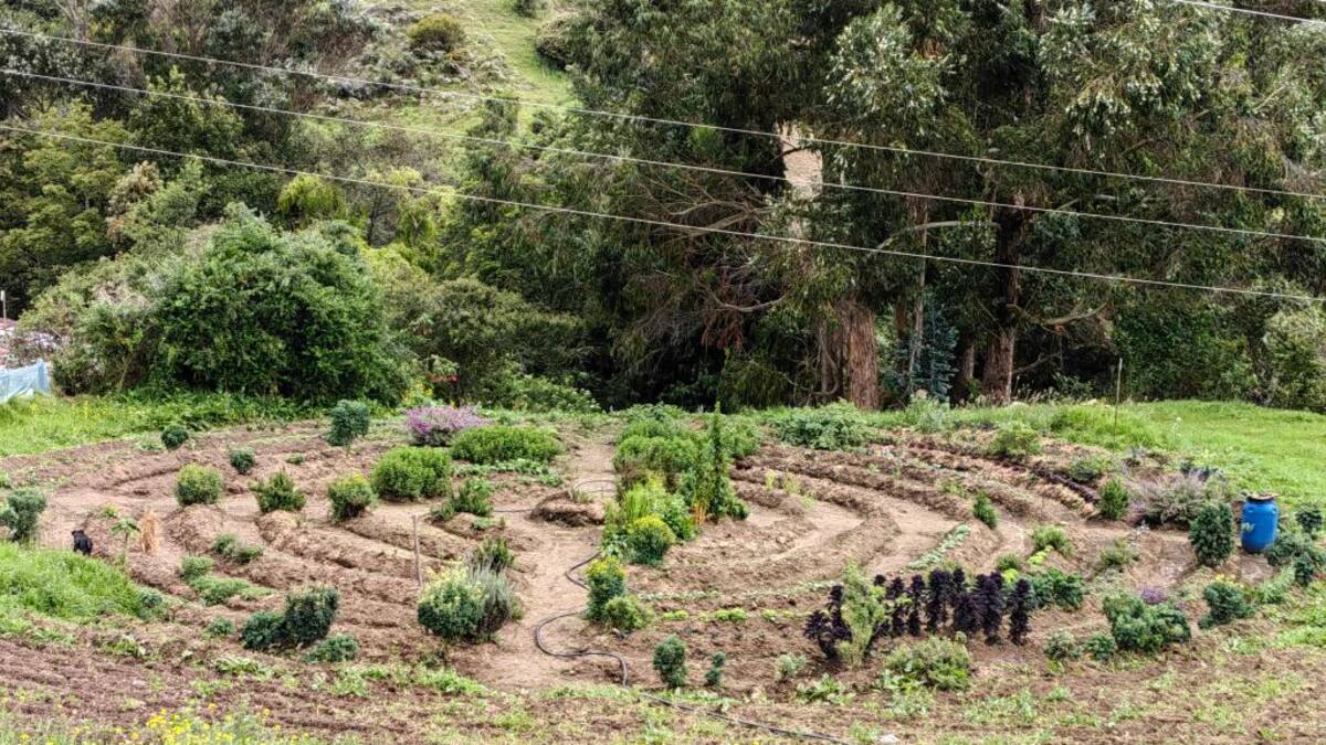 Firmantes de paz comercializan las cosechas de su propia granja en Usme