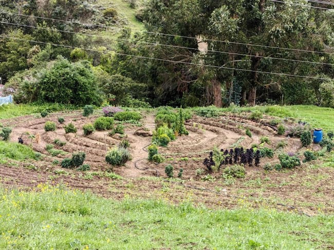 La Granja Agroecológica Tibares está ubicada en Usme y es liderada por un grupo de víctimas del conflicto y excombatientes que además de utilizar el espacio para actividades comunitarias, también comercializan los productos que cultivan| Foto: cortesía.