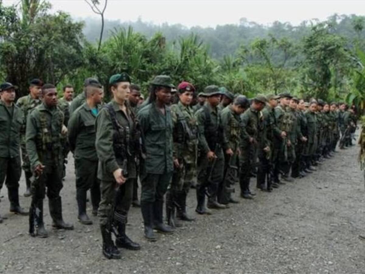 JEP: piden reevaluar amnistía a las Farc por “burro bomba” en Sucre en 1996