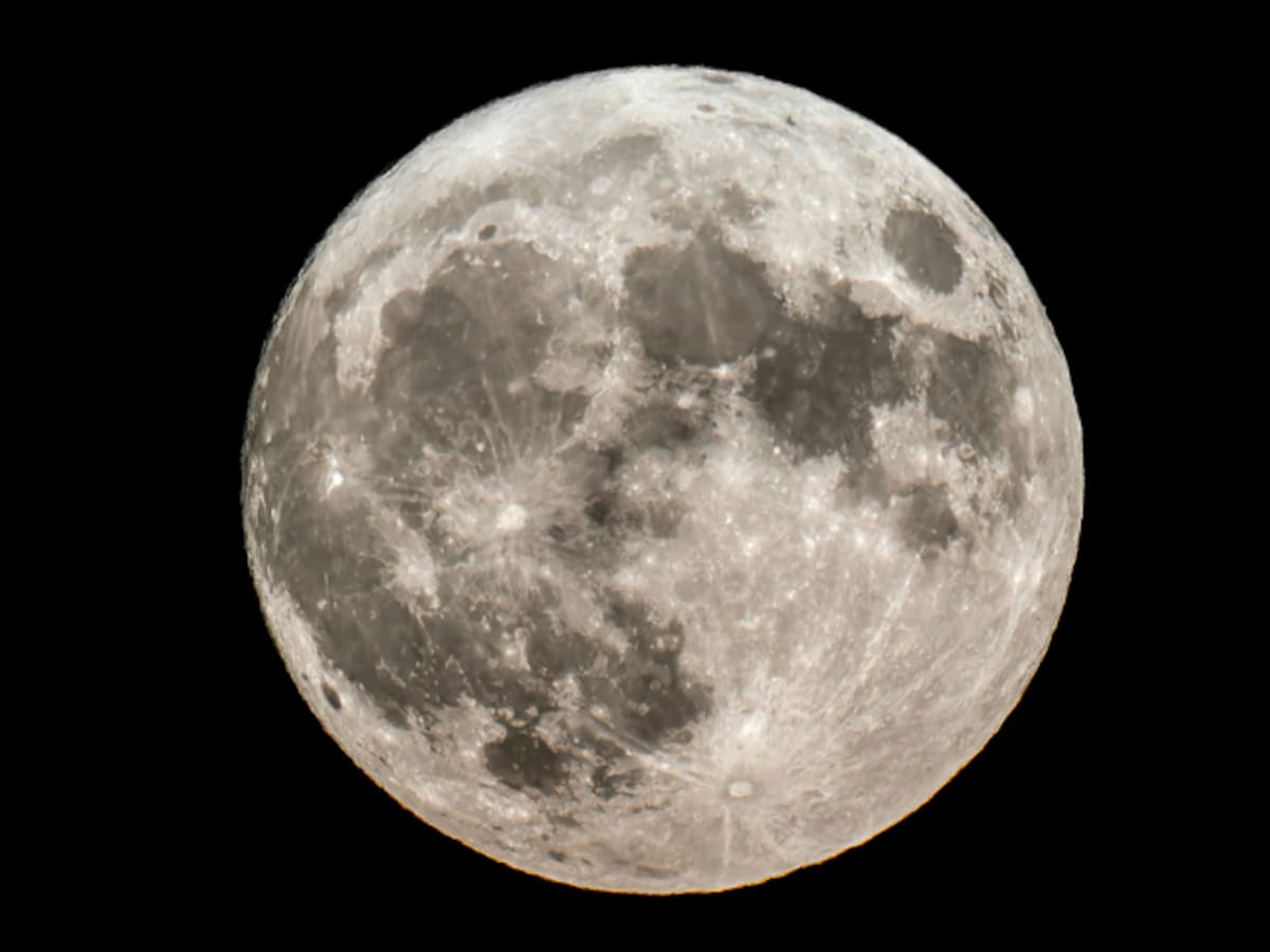 ¿Cuándo es la Luna Nueva en noviembre 2025? Es ideal para sembrar plantas