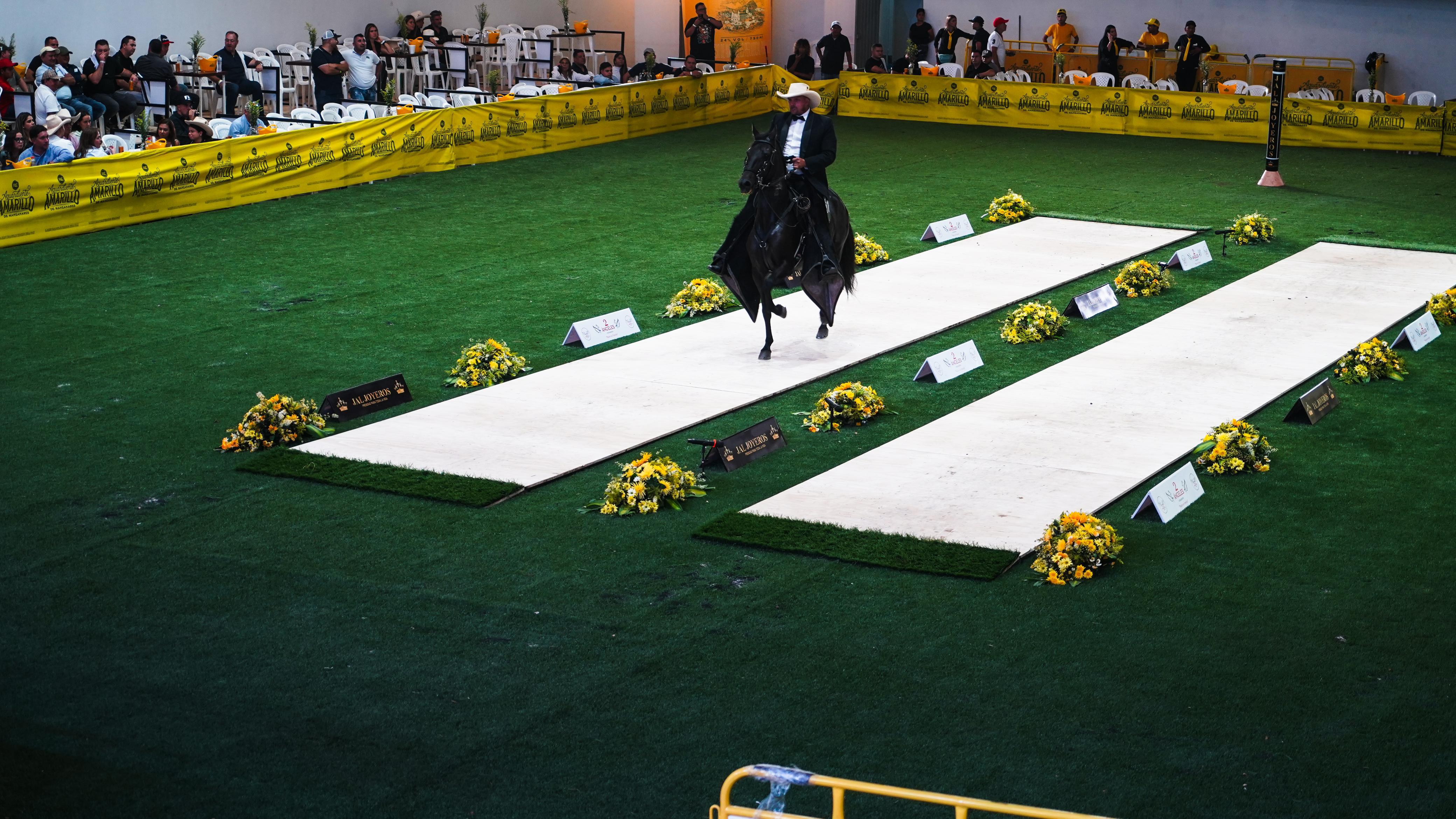 Prestar estadios de fútbol para otras actividades: Polémica en Floridablanca, Santander. Foto: Alcaldía de Floridablanca