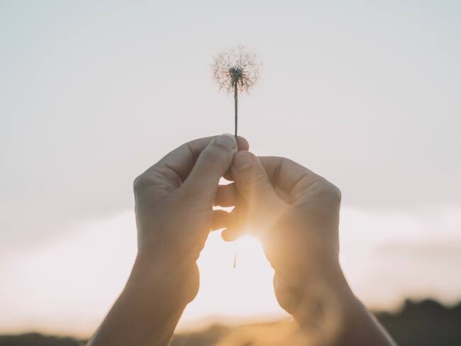 Woman hands raising up a dandelion flower against the sky. Nature and people lifestyle. Daydreaming and hope. Feeling and happiness. Soft and love. Romantic image with nature. Freedom environment
