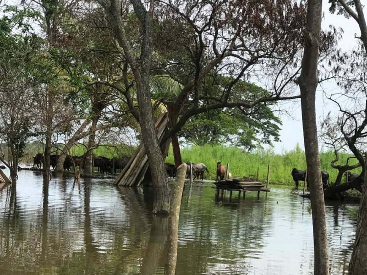 Declaran alerta roja en Ayapel por aumento en los niveles del río Cauca