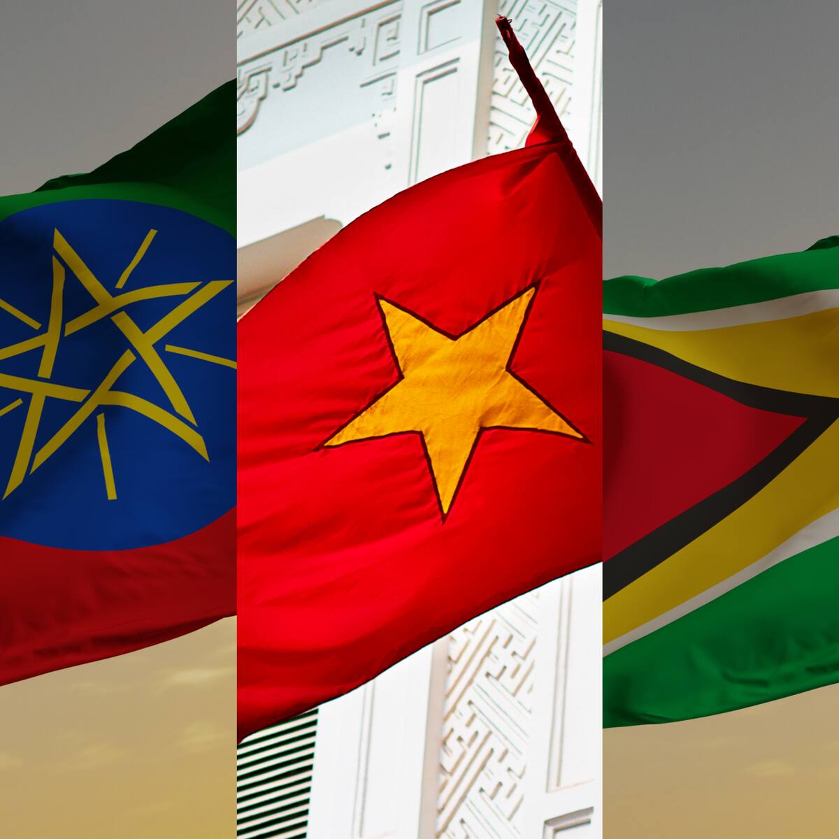 Oficialmente Etiopía, Vietnam y Guyana tienen embajadores de Colombia