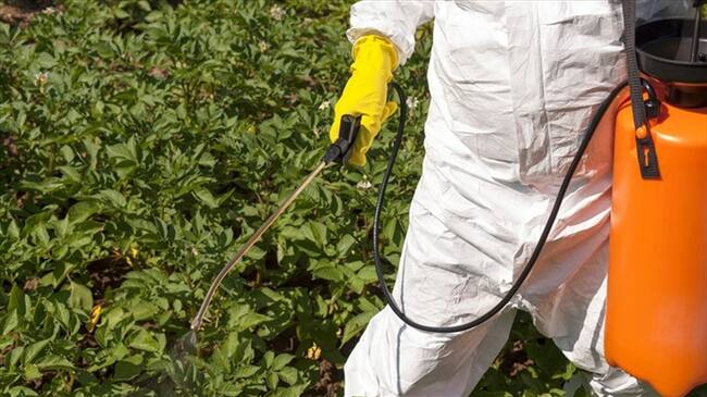 Según el senador Jorge Eduardo Londoño se ha insistido al Gobierno de crear una política pública entorno a los insumos y fertilizantes. Mientras los campesinos aseguran que de seguir subiendo no podrán sembrar. Foto: Getty Images