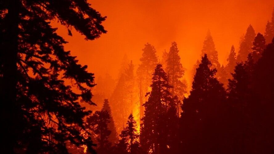 Millones de dólares en pérdidas han calculado las autoridades por los incendios en Estados Unidos. Foto: Getty Images.