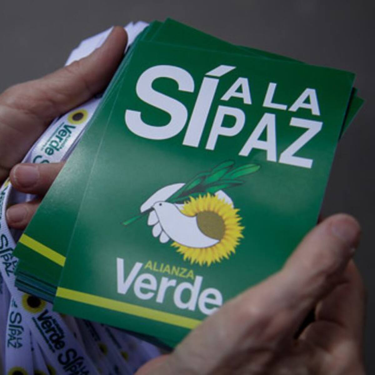 Congresistas piden declarar al Partido Alianza Verde como independiente