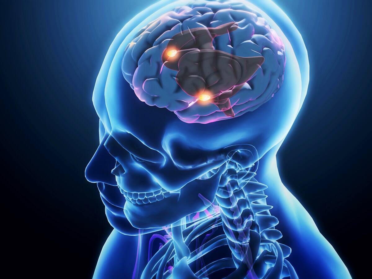 Así actúan en el cerebro los medicamentos para perder peso: neurólogo explicó pros y contras