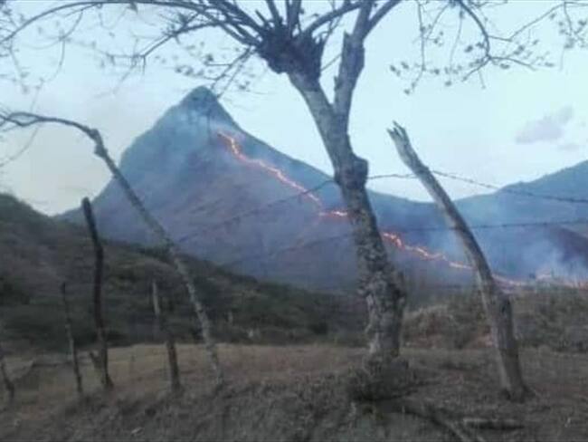 Los habitantes que apoyan las labores para controlar el incendio en terreno ya han encontrado primates muertos. Foto: Cortesía Deysi Burbano
