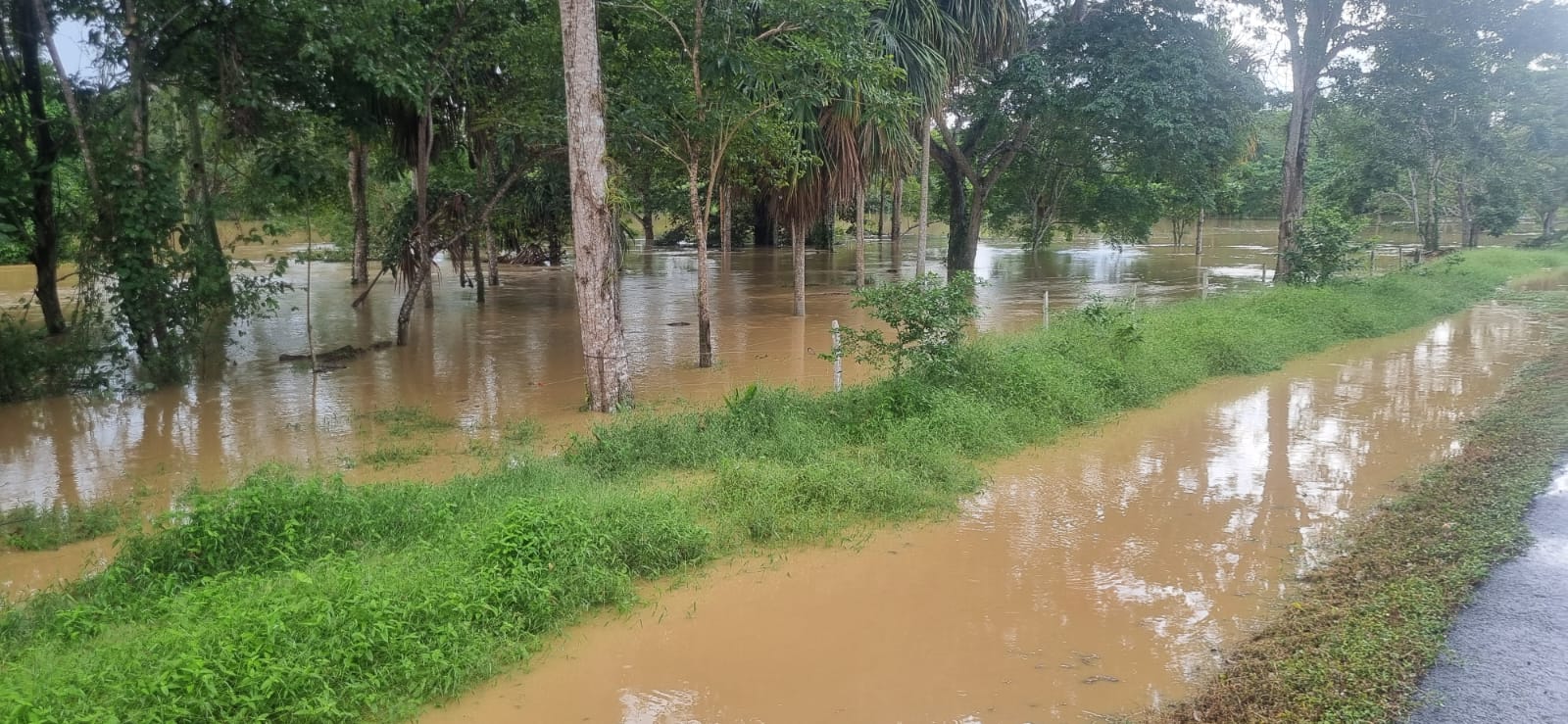 Más del 60% del territorio cordobés se encuentra en calamidad pública por inundaciones y vendavales. cortesía Alcaldía de Los Córdobas.