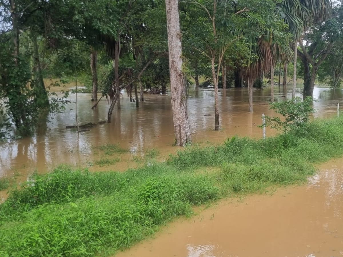 Más del 60% del territorio cordobés se encuentra en calamidad pública por inundaciones y vendavales