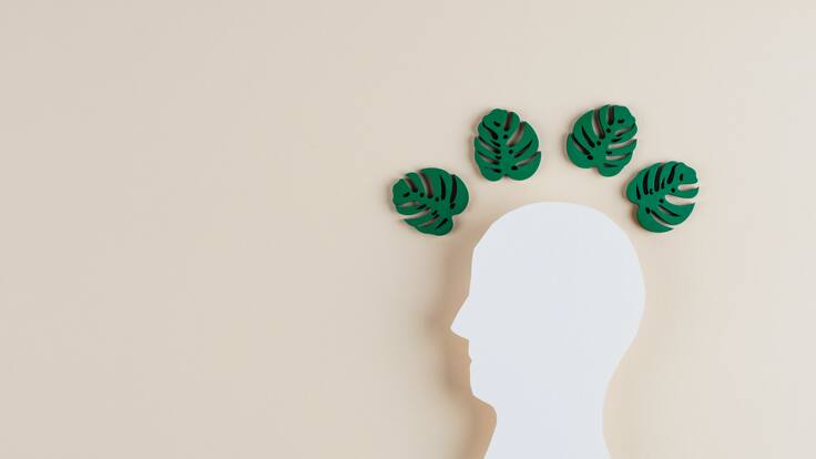 ¿Conoce qué es ecoansiedad? Psicólogo habló de este padecimiento