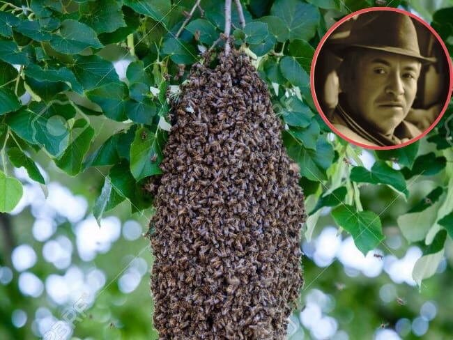 Héctor Alonso Borda fue la persona que perdió la vida este fin de semana en el municipio de Cucaita al ser atacado por abejas.