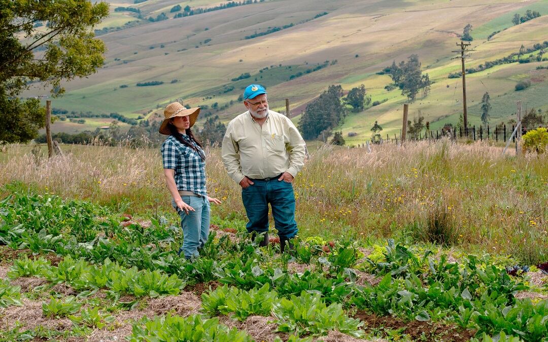 Cundinamarca, exportando productos locales con el mejor sello