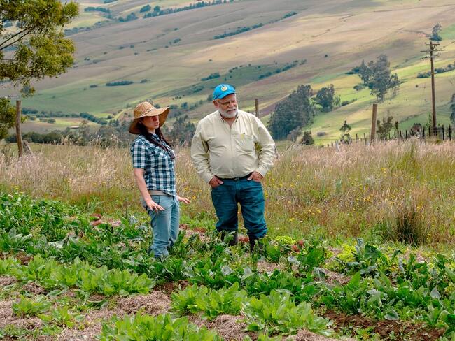 Cundinamarca, exportando productos locales con el mejor sello