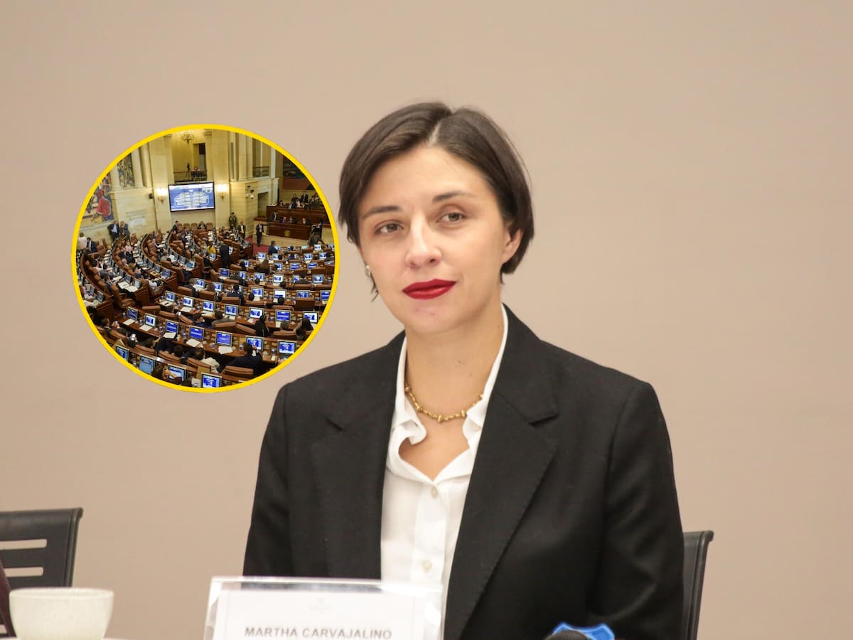 MinAgricultura pide al Congreso avanzar en ley de Jurisdicción agraria