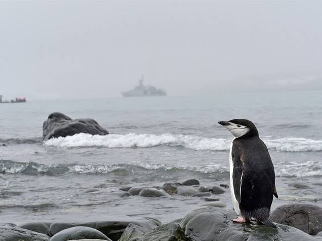 ¿Por qué el interés de Colombia por explorar la Antártida?