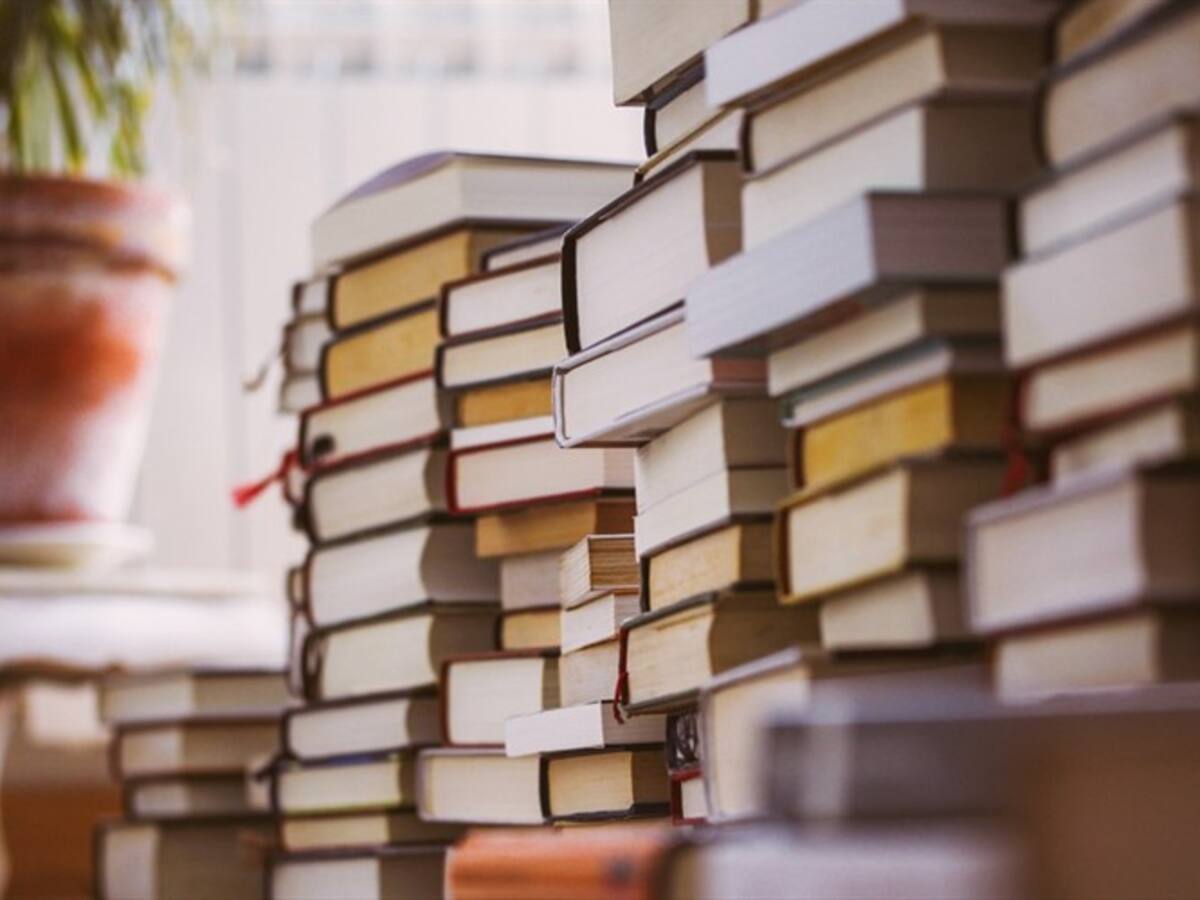 Autoridades desmantelan gigantesca fábrica clandestina de obras literarias