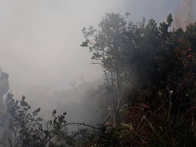 Directora del Ideam da recomendaciones para evitar incendios forestales en el país