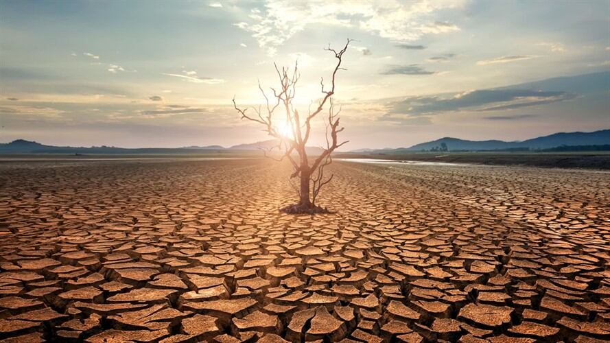 Estos son algunos consejos para garantizar un entorno libre de contaminación.. Foto: Getty Images