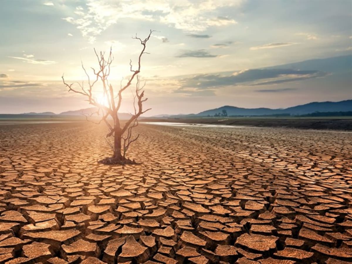 Cinco buenas prácticas para mitigar los efectos del calentamiento global