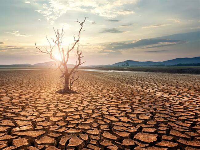 Estos son algunos consejos para garantizar un entorno libre de contaminación.. Foto: Getty Images
