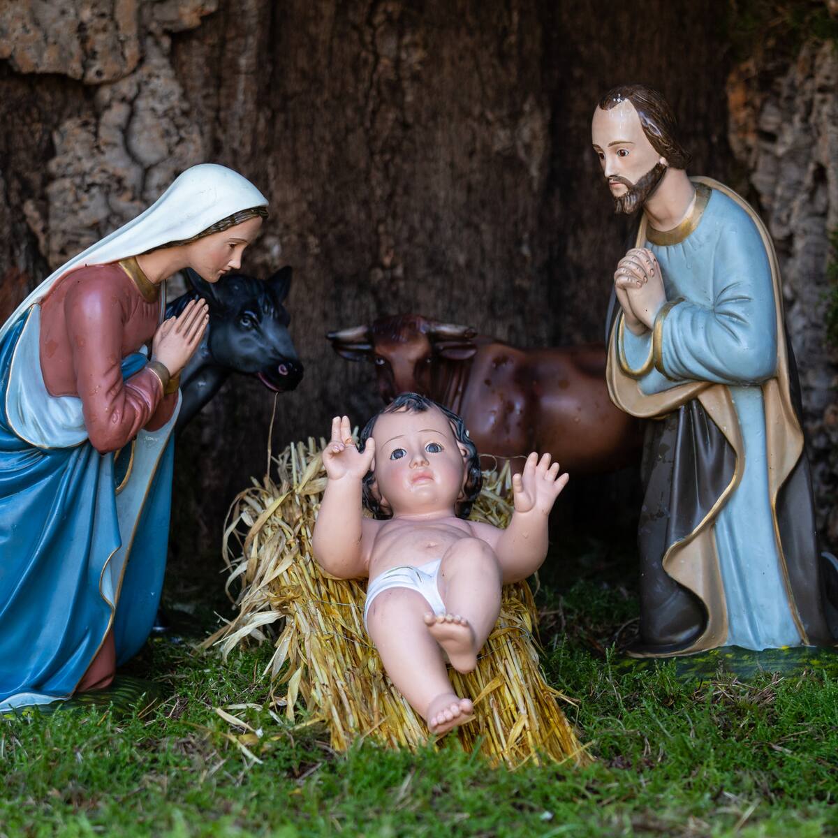 ¿Cuándo se debe colocar al Niño Jesús en el pesebre durante diciembre?
