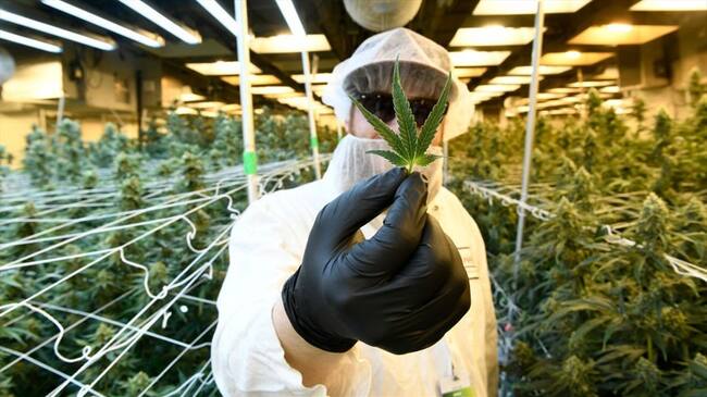 Si mi compañía solo dependiera del mercado colombiano estaría en problemas: Aras Azadian. Foto: Getty Images