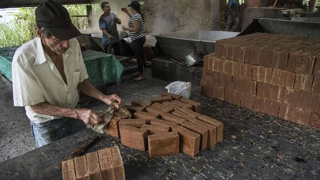 Minagricultura puso en marcha campaña para proteger 350 mil familias paneleras del país. Foto: Getty Images