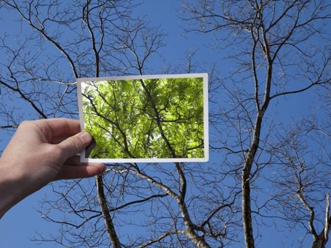 ¿Qué cambio es necesario para Colombia?. Foto: Getty Images / THOMAS JACKSON