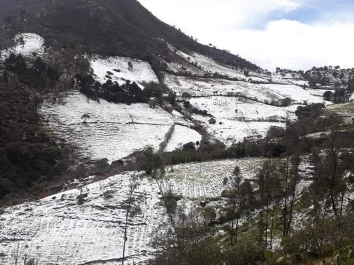 Millonarias pérdidas por fuerte granizada en Silvia, Cauca