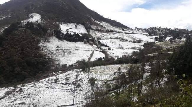 Una comisión de la Alcaldía Municipal visitará la zona con el fin de realizar un censo . Foto: Cortesía