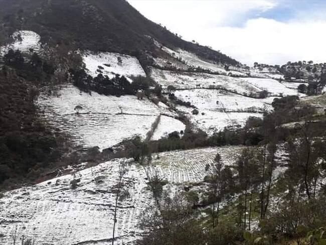 Una comisión de la Alcaldía Municipal visitará la zona con el fin de realizar un censo . Foto: Cortesía