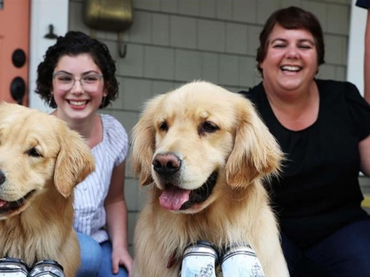 La historia de los perros que reparten cerveza a sus vecinos