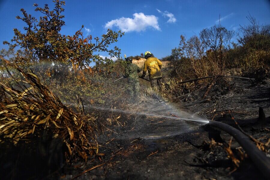 Incendios en Bogotá. Foto: Colprensa.