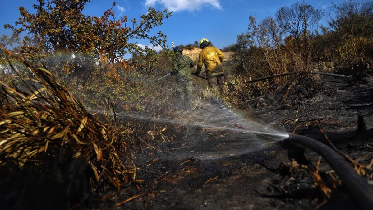 Autoridades de Bogotá reportan incendio en cercanías al cerro de Guadalupe