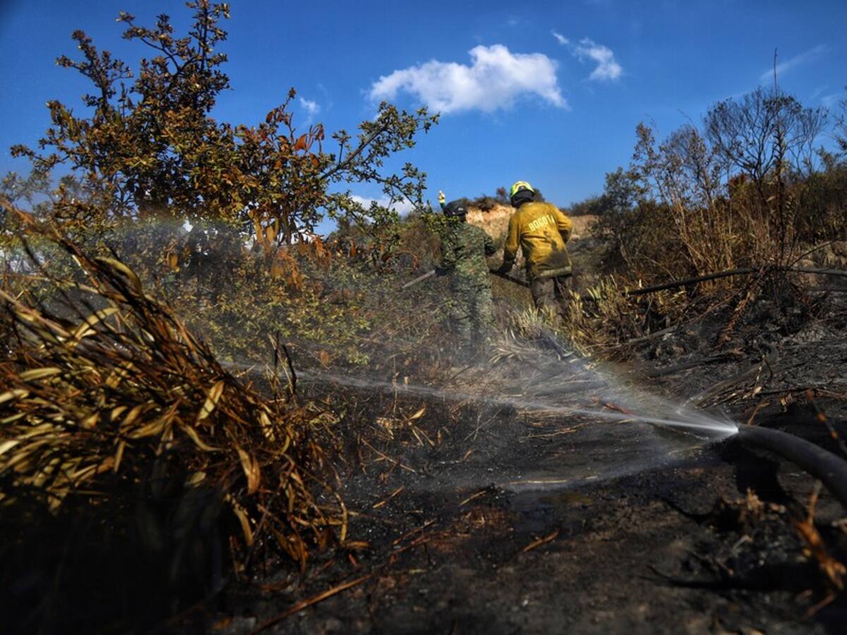 Autoridades de Bogotá reportan incendio en cercanías al cerro de Guadalupe