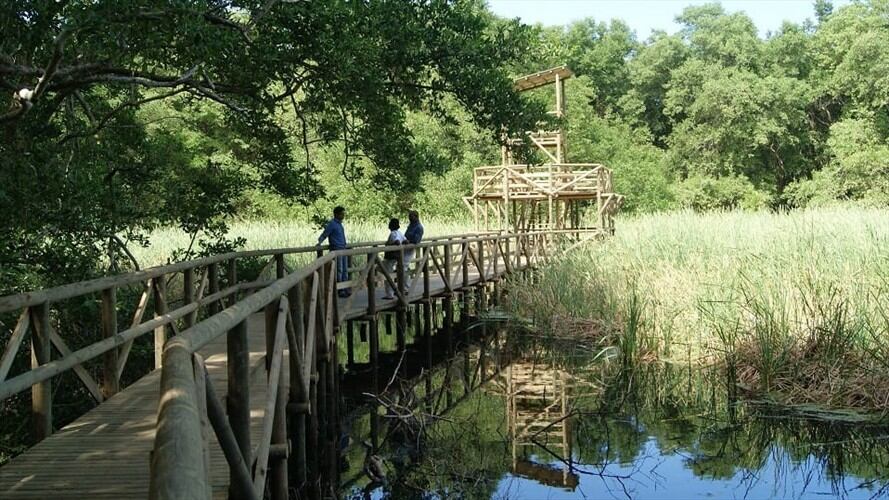 Arranca licitación de los servicios ecoturísticos de los parques Tayrona e Isla de Salamanca. Foto: Cortesía Parques Nacionales