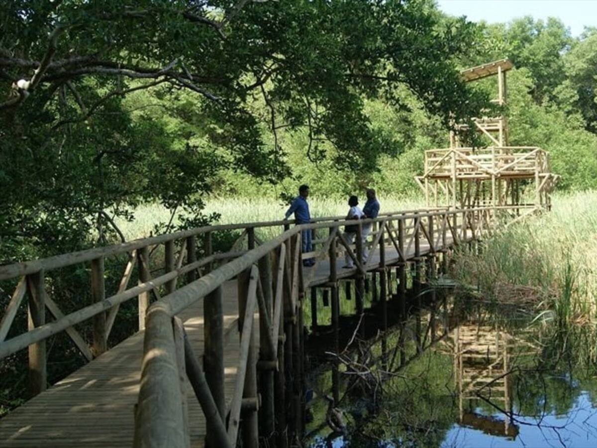 Arranca licitación de los servicios ecoturísticos de parques Tayrona e Isla de Salamanca