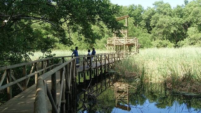 Arranca licitación de los servicios ecoturísticos de los parques Tayrona e Isla de Salamanca. Foto: Cortesía Parques Nacionales