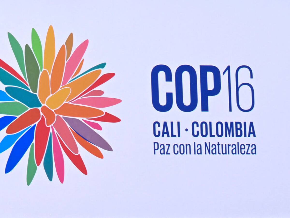 El Ministerio TIC lanza app oficial de la COP16
