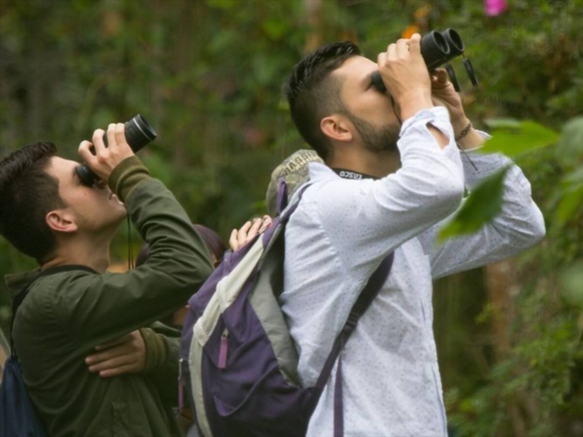 'Motsi', la app colombiana que conecta a los aficionados al aviturismo