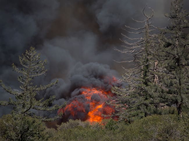 Imagen de referencia. Foto: Gettyimages