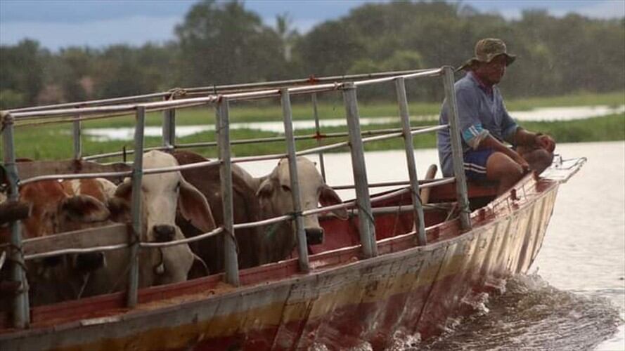 Inundaciones dejan más de 4.000 productores afectados en Córdoba. Foto: referencia Alcaldía Ayapel.