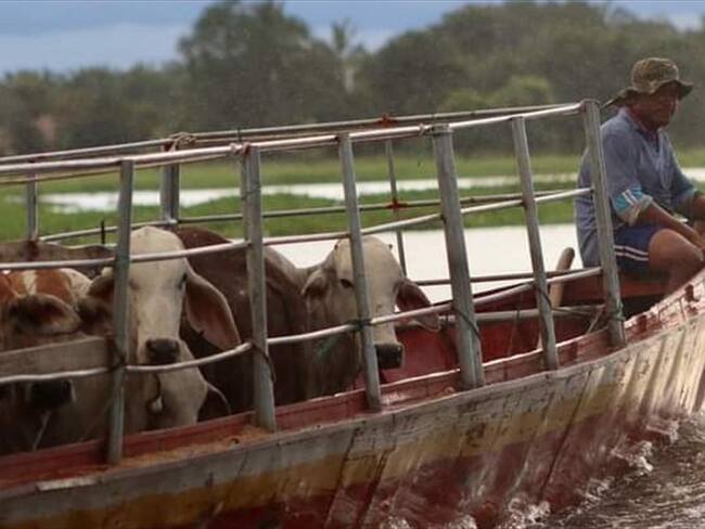 Inundaciones dejan más de 4.000 productores afectados en Córdoba. Foto: referencia Alcaldía Ayapel.