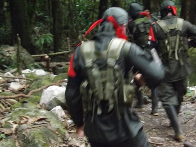 El Ejército informó que en lo corrido del año se han incrementado las operaciones contra este grupo armado ilegal en la región . Foto: Colprensa