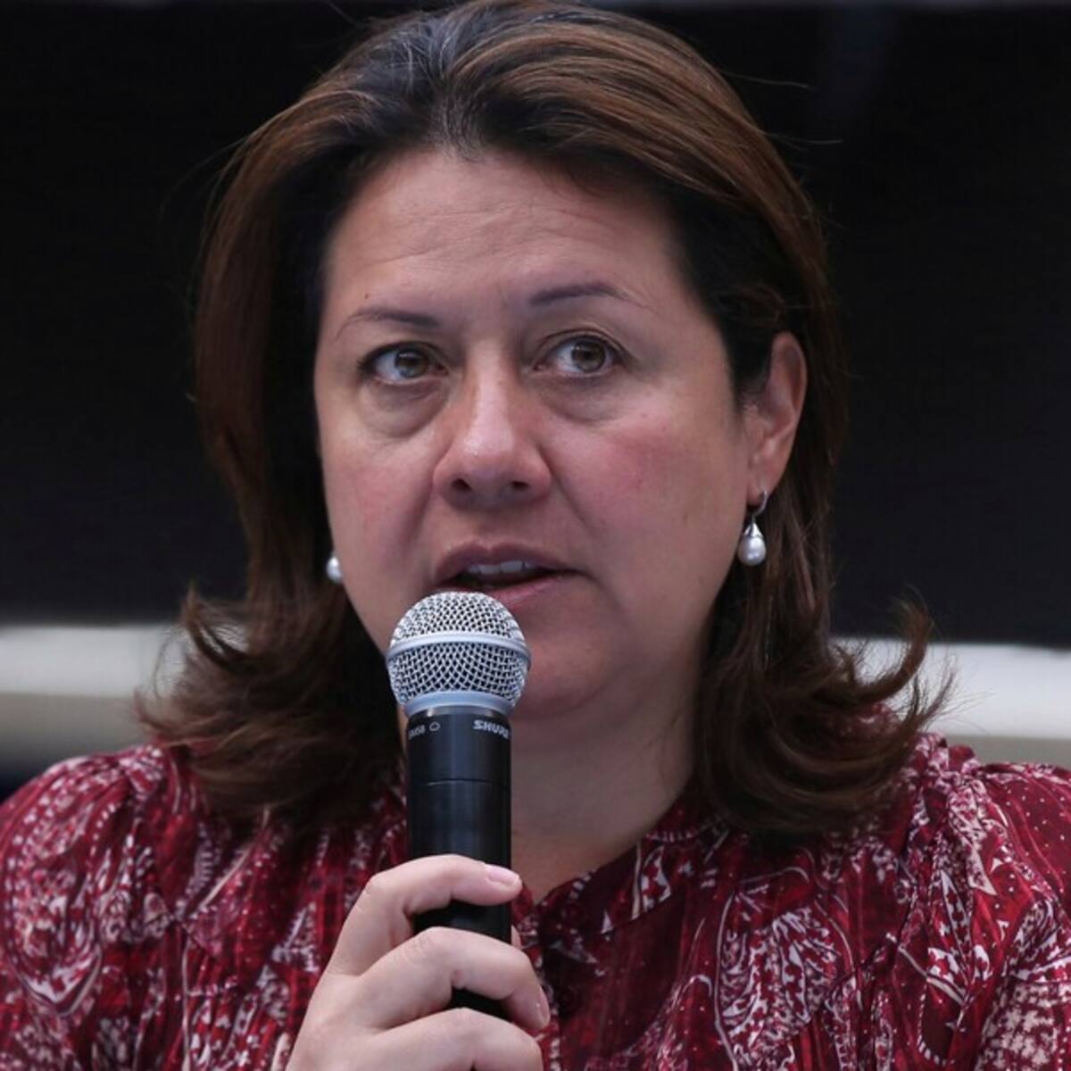 No podemos afectar industria bajando arancel de acero que viene de Turquía: Lombana