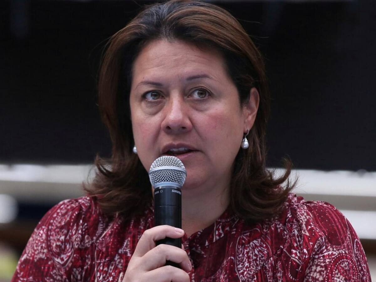 No podemos afectar industria bajando arancel de acero que viene de Turquía: Lombana